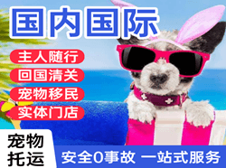 营口兰旗航空运输国际宠物托运 【国